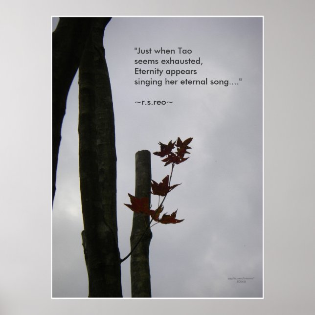 Eternal Song of Life: Nature Zen/Tao Poster (Devant)