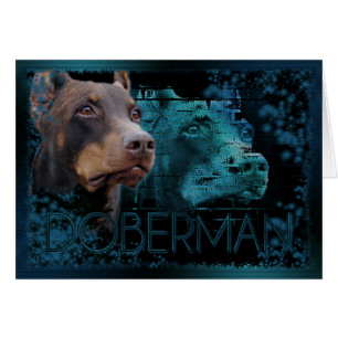 Éternité - dobermann