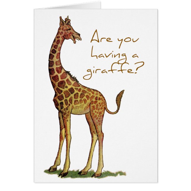 Êtes-vous eus une girafe ? (Devant)