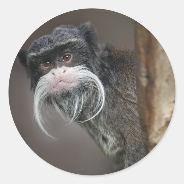 Êtes-vous mon barbier ??? Autocollant (Devant)
