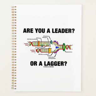 Êtes-vous un leader ? Ou un traînard ? Geek DNA Hu