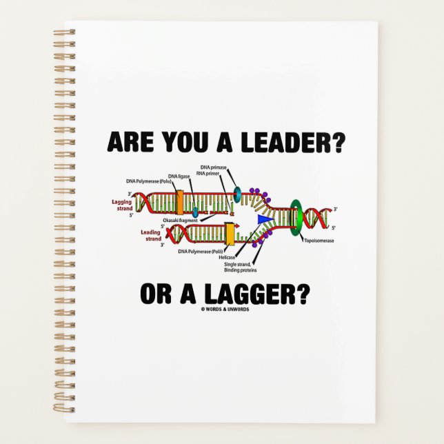 Êtes-vous un leader ? Ou un traînard ? Geek DNA Hu (Devant)