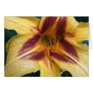 Étincelle rouge jaune