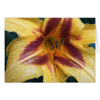 Étincelle rouge jaune