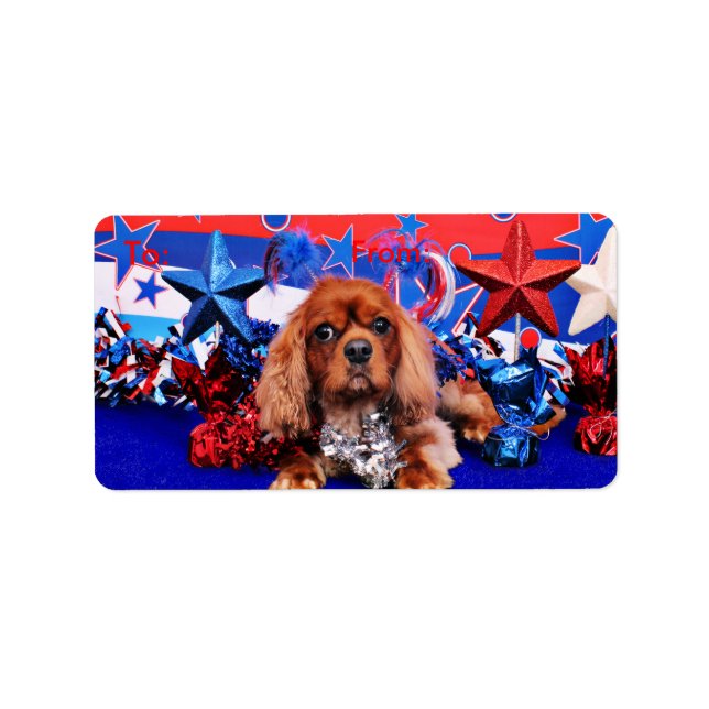 Étiquette 4 juillet - Cavalier King Charles Spaniel - Cooper (Devant)