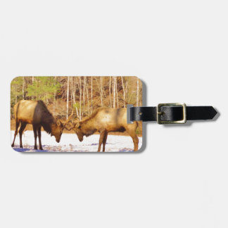 Étiquette À Bagage 2~ deux Bull Elk dans la neige