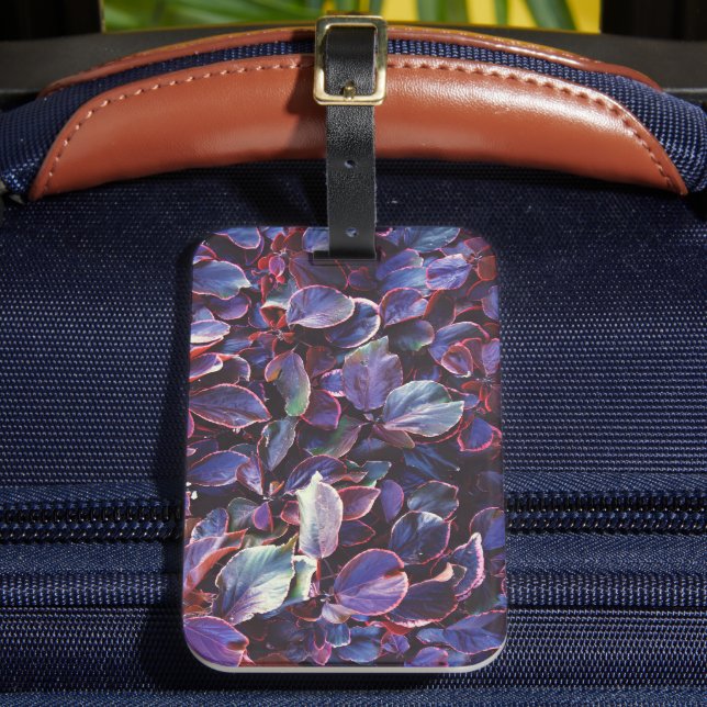 Étiquette À Bagage Acalypha Wilkesiana (Insitu Rectoal 2)