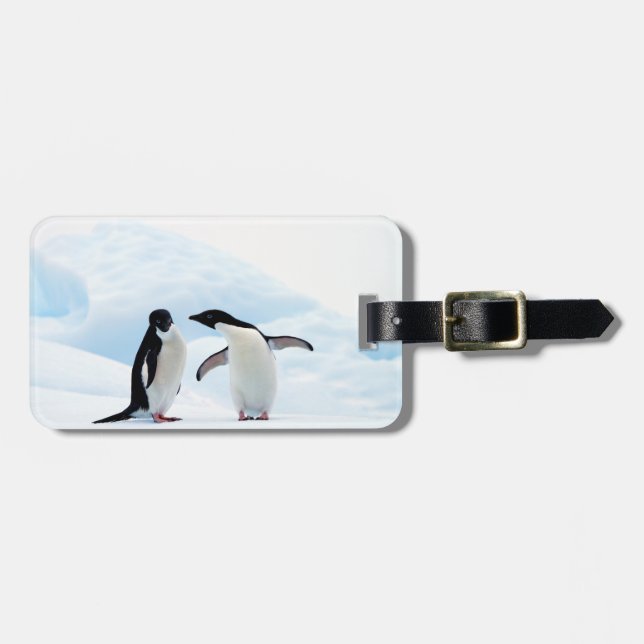 Étiquette À Bagage Adelie Penguins (Devant horizontal)