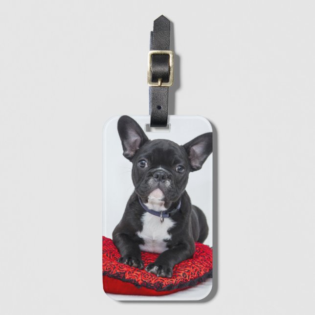 Étiquette À Bagage Adorable Black and White Bulldog Puppy Photo (Devant Vertical)