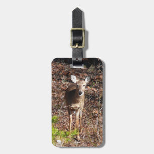 Étiquette À Bagage Adorable Cerf dans les Bois Photographie de la nat