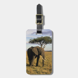 Étiquette À Bagage Afrique, Kenya, Maasai Mara. Un éléphant dans le
