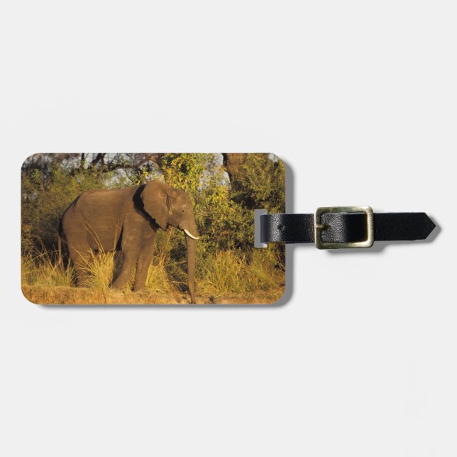 Étiquette À Bagage Afrique, Zimbabwe, Victoria Falls National Park. (Devant horizontal)