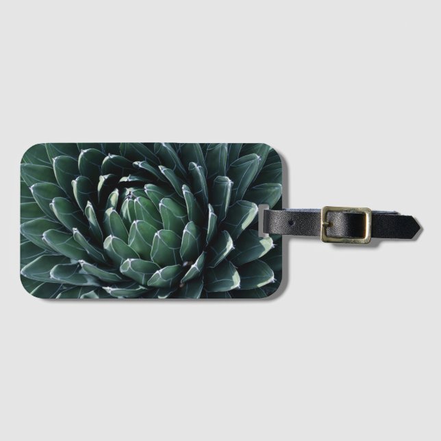 Étiquette À Bagage Agave vert (Devant Horizontal)