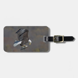 Étiquette À Bagage Aigle chauve regardant un poisson