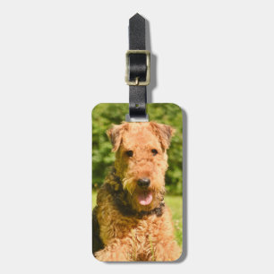 Étiquette À Bagage Airedale Terrier Chien chiot