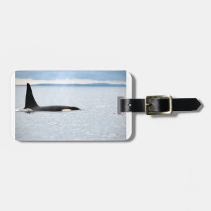 Étiquette À Bagage Alaska - Orca
