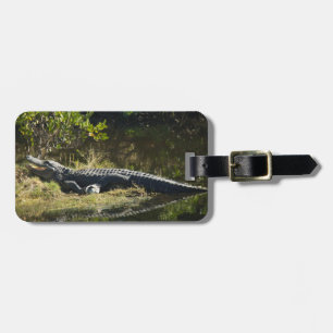 Étiquette À Bagage Alligator se faisant chauffer au soleil sur la riv