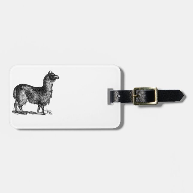 Étiquette À Bagage Alpaca Llama Cute Pérou Animal Nature Art (Devant horizontal)