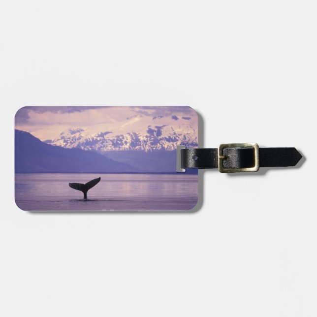 Étiquette À Bagage Amérique du Nord, États-Unis, Alaska, Passage inté (Devant horizontal)