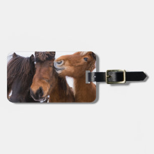Étiquette À Bagage Amis du cheval islandais, Islande