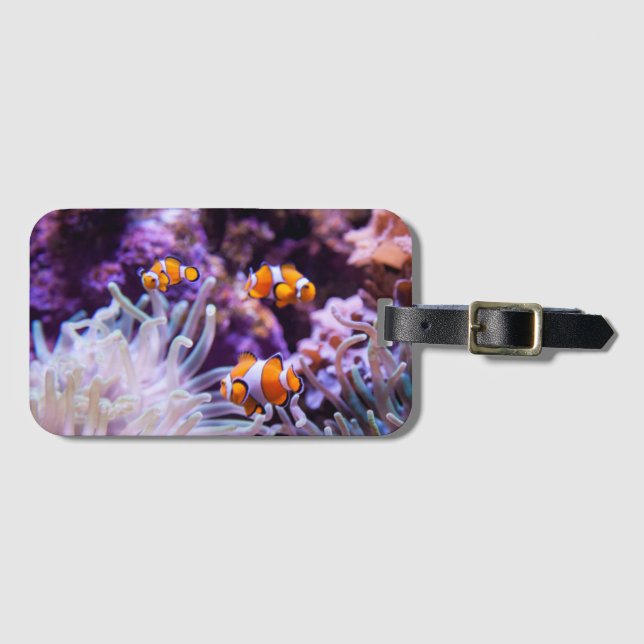 Étiquette À Bagage Amphiprion Ocellaris d'Ocellaris Clownfish | (Devant Horizontal)