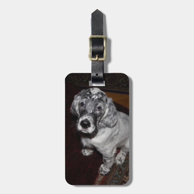 Étiquette À Bagage Anglais Setter Puppy (Devant Vertical)