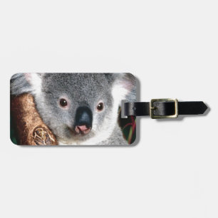 Étiquette À Bagage Animal de pays de l'Australie d'ours de koala à