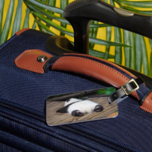 Étiquette À Bagage Animaux de bébés cutest   Bébé Géant Panda Dormir
