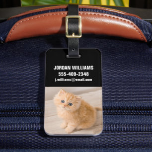 Étiquette À Bagage Animaux de bébés cutest   British Longhair Kitten