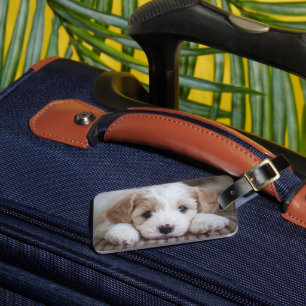 Étiquette À Bagage Animaux de bébés cutest Cavashon Puppy