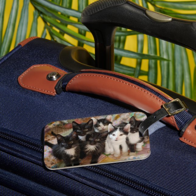 Étiquette À Bagage Animaux de bébés cutest | Chatons noirs et blancs (Insitu Rectoal 3)