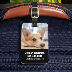 Étiquette À Bagage Animaux de bébés cutest Chiot de Corgi au sol