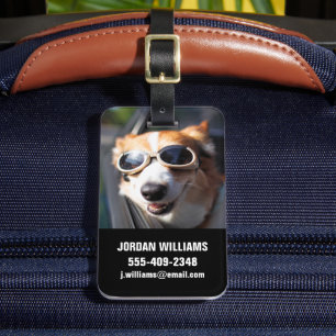 Étiquette À Bagage Animaux de bébés cutest Corgi lunettes dans la v