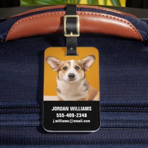 Étiquette À Bagage Animaux de bébés cutest Corgi Portrait sur Orang