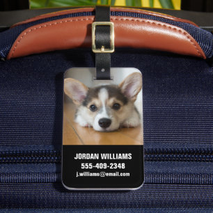 Étiquette À Bagage Animaux de bébés cutest Corgi Puppy