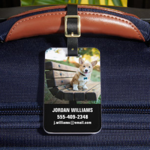 Étiquette À Bagage Animaux de bébés cutest Corgi Puppy sur un banc