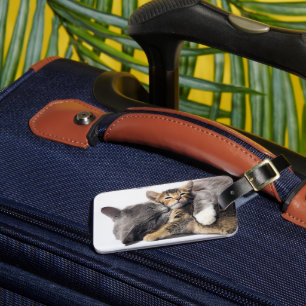 Étiquette À Bagage Animaux de bébés cutest   Cute Kitten Hug