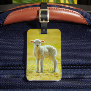 Étiquette À Bagage Animaux de bébés cutest   Jeune mouton