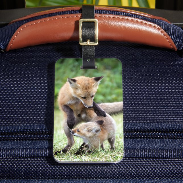 Étiquette À Bagage Animaux de bébés cutest | Kit et maman Fox adorabl (Insitu Rectoal 2)