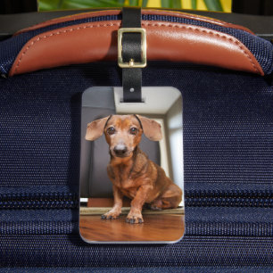 Étiquette À Bagage Animaux de bébés cutest Mini chiot