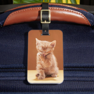 Étiquette À Bagage Animaux de bébés cutest Orange Tabby Kitten