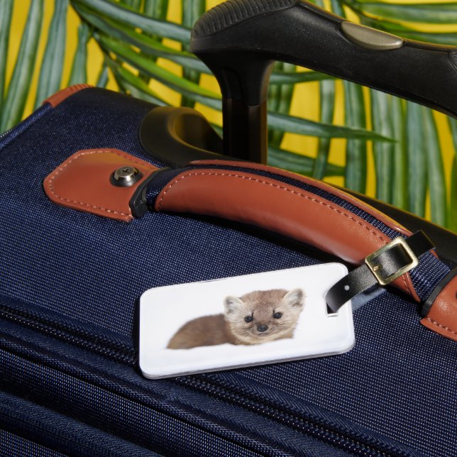 Étiquette À Bagage Animaux de bébés cutest | Pine Marten (Insitu Rectoal 3)