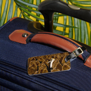 Étiquette À Bagage Animaux de bébés cutest   Pingouin parmi les jeune