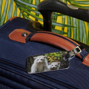 Étiquette À Bagage Animaux de bébés cutest   Raccoons jeunes blonds