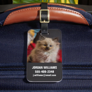 Étiquette À Bagage Animaux de bébés cutest   Siamese Kitten