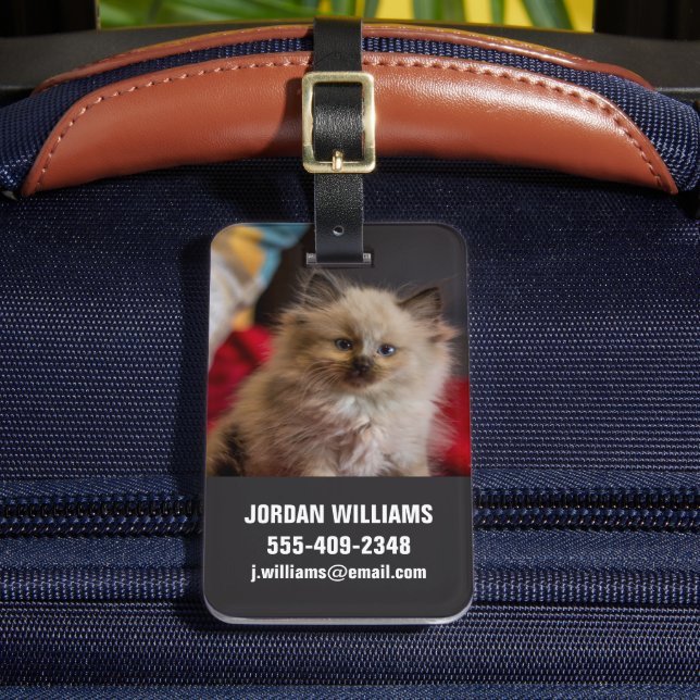 Étiquette À Bagage Animaux de bébés cutest | Siamese Kitten (Insitu Rectoal 2)