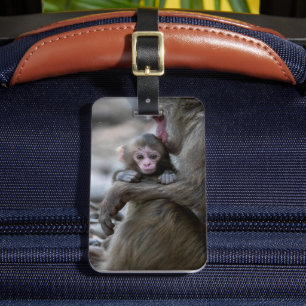 Étiquette À Bagage Animaux de bébés cutest   Singe et bébé japonais