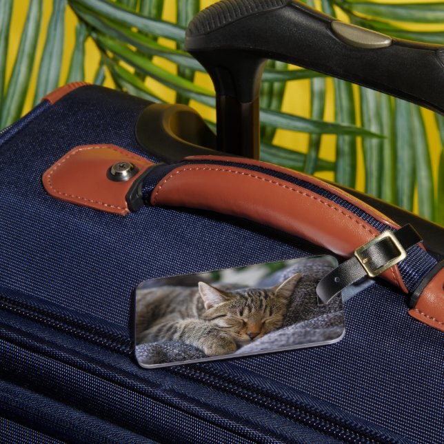 Étiquette À Bagage Animaux de bébés cutest | Tabby Kitten Sommeil (Insitu Rectoal 3)