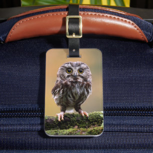 Étiquette À Bagage Animaux de bébés cutest Un hibou-bébé