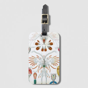 Étiquette À Bagage Animaux océaniques vintage, Copépodes par Ernst Ha